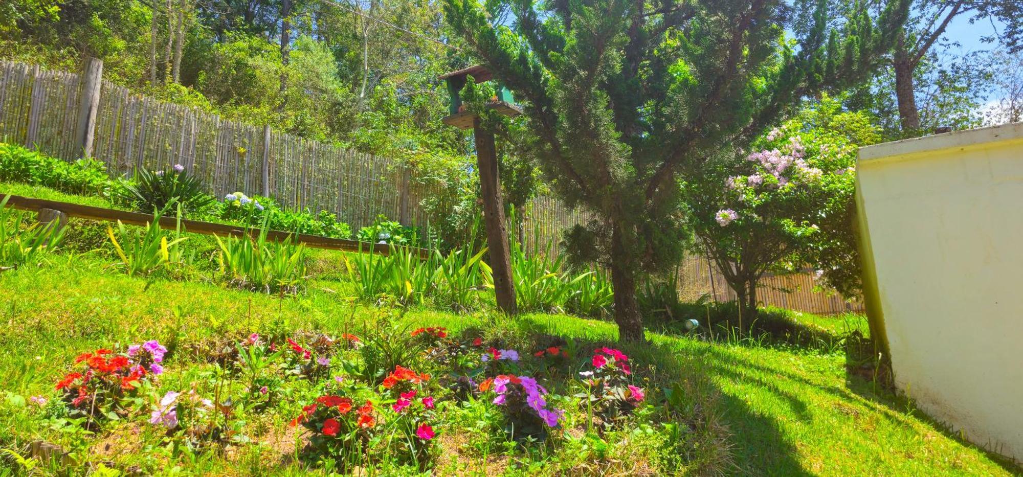 Cores E Flores Da Serra Pousada By Concavus Santo Antônio do Pinhal Exterior foto